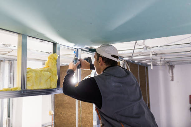 Best Insulation Replacement Services  in Milan, NM